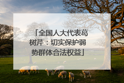 全国人大代表葛树芹：切实保护弱势群体合法权益