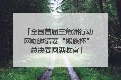全国首届三角洲行动网咖邀请赛“熊族杯”总决赛圆满收官