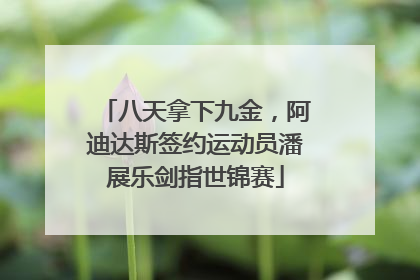 八天拿下九金，阿迪达斯签约运动员潘展乐剑指世锦赛