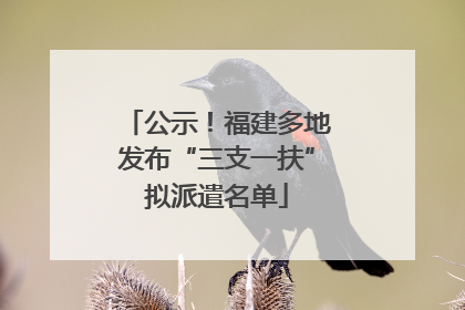 公示！福建多地发布“三支一扶”拟派遣名单