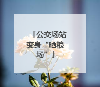 公交场站变身“晒粮场”