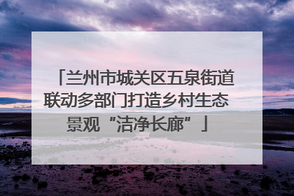 兰州市城关区五泉街道联动多部门打造乡村生态景观“洁净长廊”