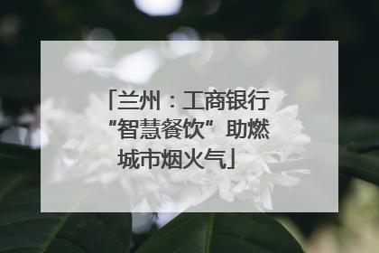 兰州：工商银行“智慧餐饮”助燃城市烟火气