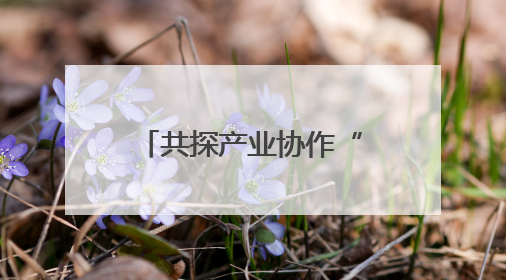 共探产业协作“新”机遇 2025金熊猫全球创新创业大赛启动