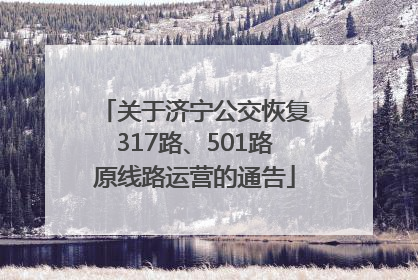 关于济宁公交恢复317路、501路原线路运营的通告