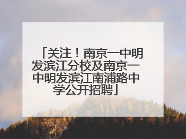 关注！南京一中明发滨江分校及南京一中明发滨江南浦路中学公开招聘