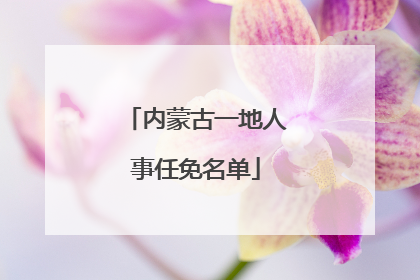 内蒙古一地人事任免名单