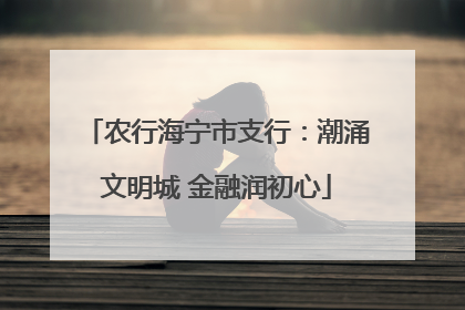 农行海宁市支行：潮涌文明城 金融润初心