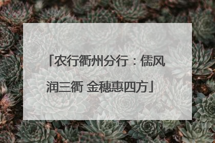 农行衢州分行：儒风润三衢 金穗惠四方