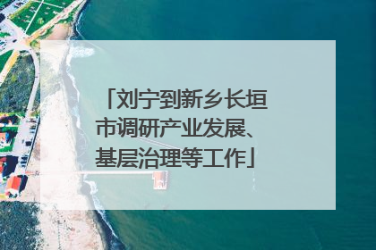 刘宁到新乡长垣市调研产业发展、基层治理等工作