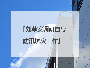 刘革安调研督导防汛抗灾工作