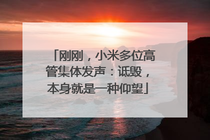 刚刚，小米多位高管集体发声：诋毁，本身就是一种仰望