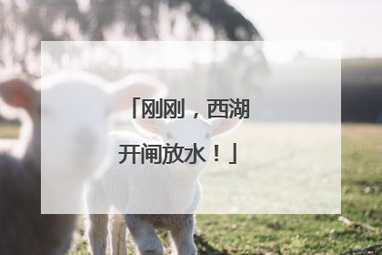 刚刚，西湖开闸放水！
