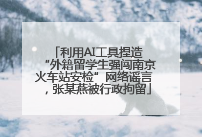 利用AI工具捏造 “外籍留学生强闯南京火车站安检”网络谣言，张某燕被行政拘留