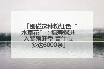 别碰这种粉红色“水草花”：福寿螺进入繁殖旺季 寄生虫多达6000条