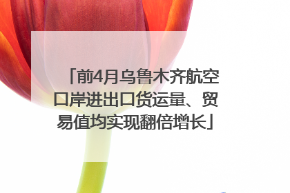 前4月乌鲁木齐航空口岸进出口货运量、贸易值均实现翻倍增长