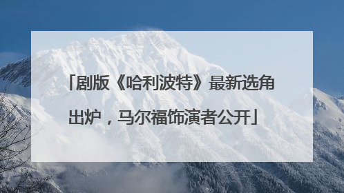 剧版《哈利波特》最新选角出炉，马尔福饰演者公开