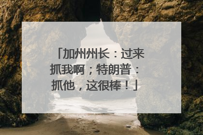 加州州长：过来抓我啊；特朗普：抓他，这很棒！