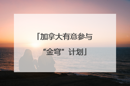 加拿大有意参与“金穹”计划
