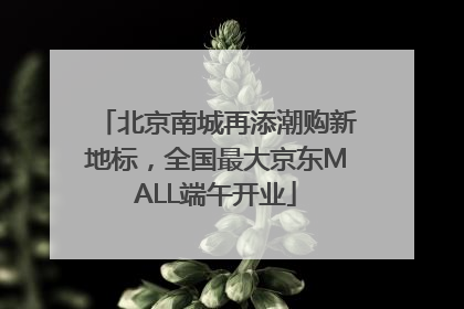 北京南城再添潮购新地标，全国最大京东MALL端午开业