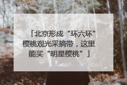 北京形成“环六环”樱桃观光采摘带，这里能买“明星樱桃”