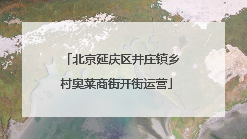 北京延庆区井庄镇乡村奥莱商街开街运营