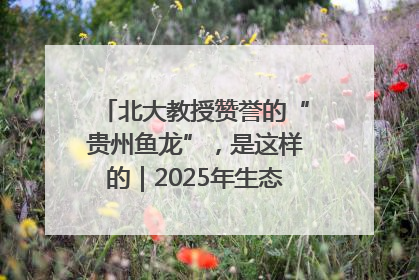 北大教授赞誉的“贵州鱼龙”，是这样的｜2025年生态文明贵阳国际论坛