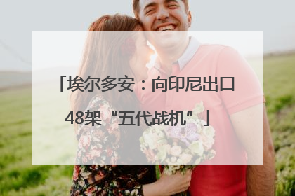 埃尔多安：向印尼出口48架“五代战机”