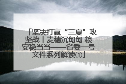 坚决打赢“三夏”攻坚战丨麦穗沉甸甸 粮安稳当当——省委一号文件系列解读①