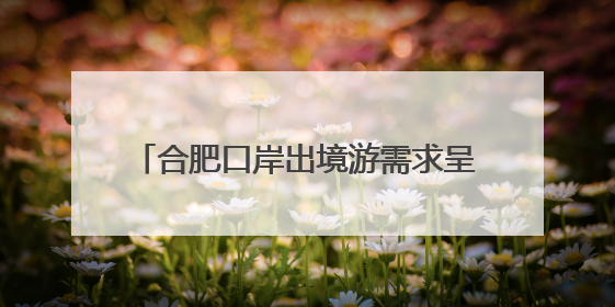 合肥口岸出境游需求呈现爆发式增长，学生群体及家庭游客是主力军
