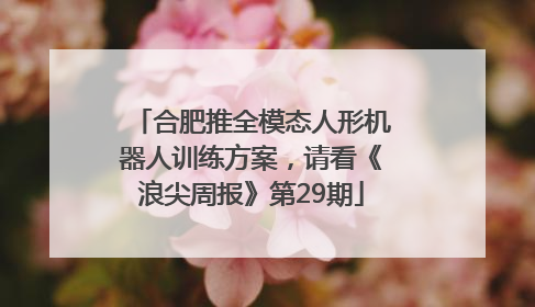 合肥推全模态人形机器人训练方案，请看《浪尖周报》第29期