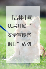 吉林市司法局开展“安全宣传咨询日”活动