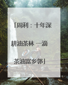 周利：十年深耕油茶林 一滴茶油富乡邻
