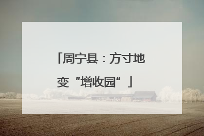 周宁县：方寸地变“增收园”