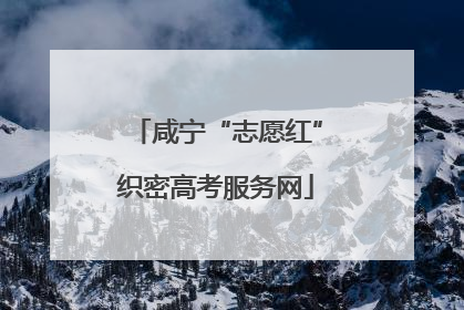 咸宁“志愿红”织密高考服务网