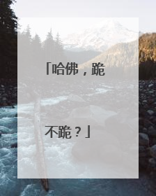 哈佛，跪不跪？