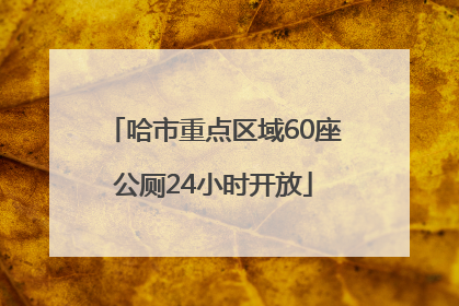 哈市重点区域60座公厕24小时开放