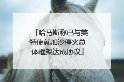 哈马斯称已与美特使就加沙停火总体框架达成协议