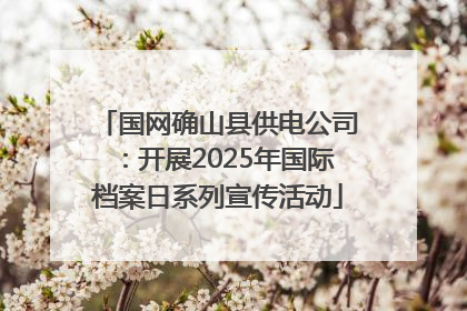 国网确山县供电公司：开展2025年国际档案日系列宣传活动