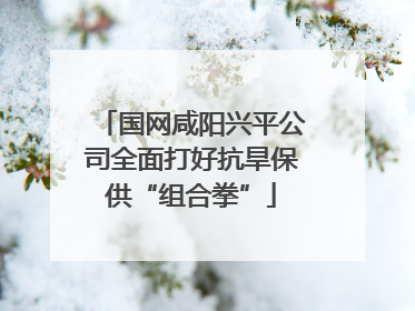 国网咸阳兴平公司全面打好抗旱保供“组合拳”