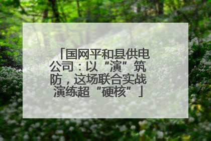 国网平和县供电公司：以“演”筑防，这场联合实战演练超“硬核”