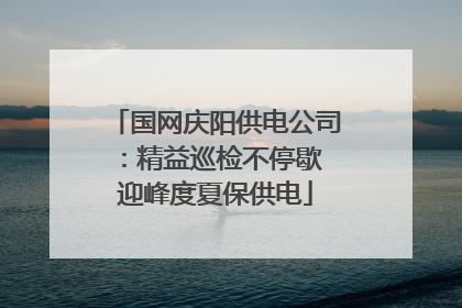 国网庆阳供电公司：精益巡检不停歇 迎峰度夏保供电