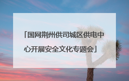国网荆州供司城区供电中心开展安全文化专题会