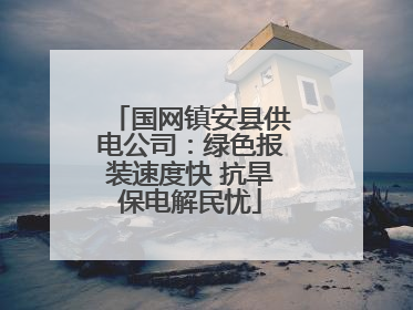 国网镇安县供电公司：绿色报装速度快 抗旱保电解民忧