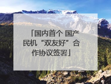 国内首个 国产民机“双友好”合作协议签署