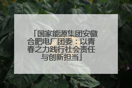国家能源集团安徽合肥电厂团委：以青春之力践行社会责任与创新担当