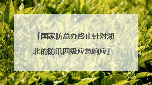 国家防总办终止针对湖北的防汛四级应急响应