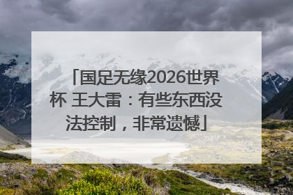 国足无缘2026世界杯 王大雷：有些东西没法控制，非常遗憾