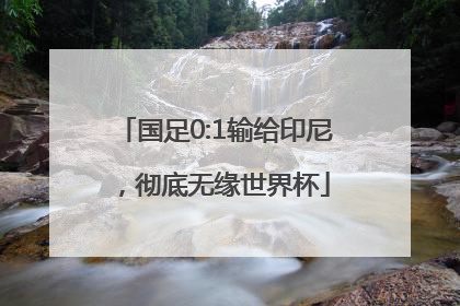 国足0:1输给印尼，彻底无缘世界杯