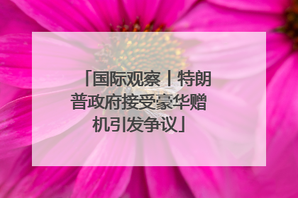 国际观察丨特朗普政府接受豪华赠机引发争议